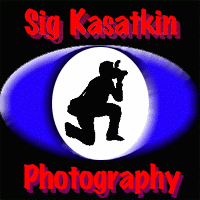 Sigs Logo